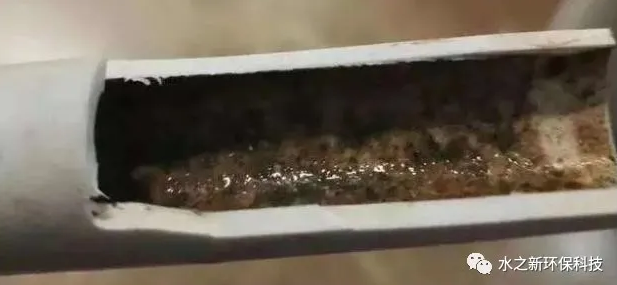 如何判斷水管臟不臟，清洗水管這筆錢值不值得